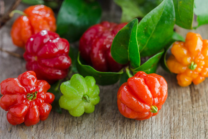 گیلاس سورینام گیلاس سورینام